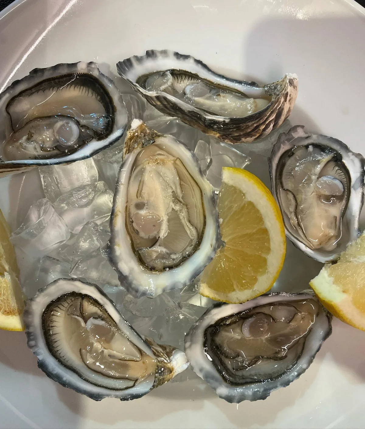 Ostriche fresche servite con limone